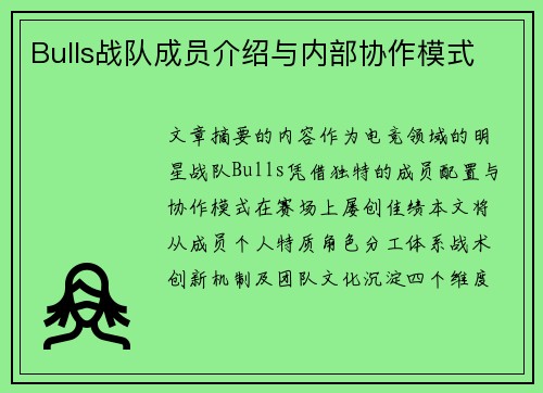 Bulls战队成员介绍与内部协作模式